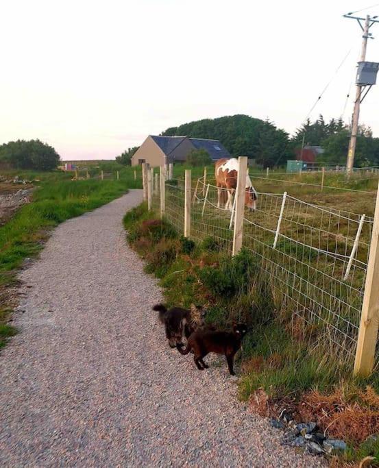 Isla'S Cottage Stornoway  Exterior foto